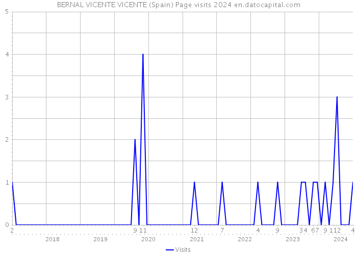 BERNAL VICENTE VICENTE (Spain) Page visits 2024 