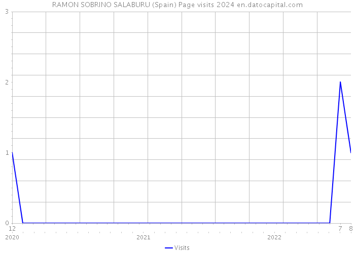 RAMON SOBRINO SALABURU (Spain) Page visits 2024 