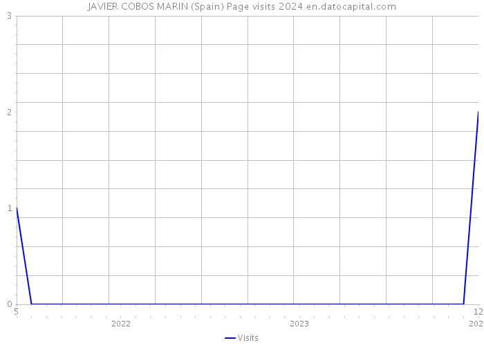 JAVIER COBOS MARIN (Spain) Page visits 2024 