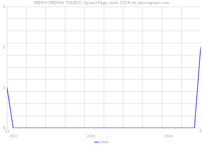 PEDRO MEDINA TOLEDO (Spain) Page visits 2024 