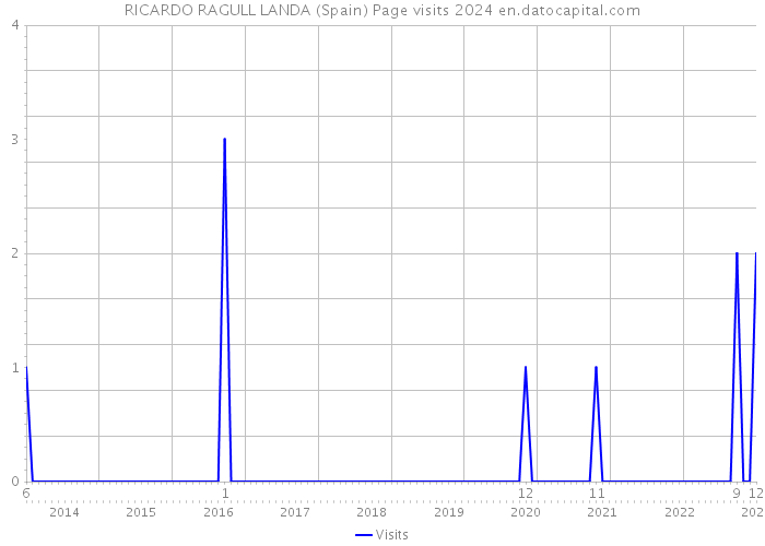 RICARDO RAGULL LANDA (Spain) Page visits 2024 