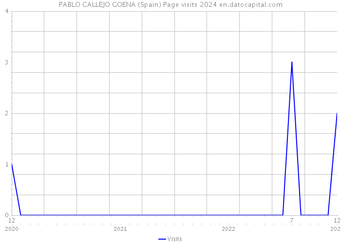 PABLO CALLEJO GOENA (Spain) Page visits 2024 
