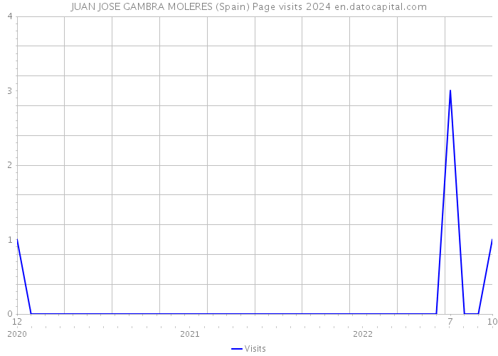 JUAN JOSE GAMBRA MOLERES (Spain) Page visits 2024 