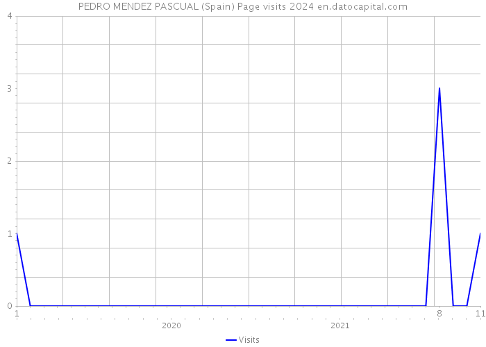 PEDRO MENDEZ PASCUAL (Spain) Page visits 2024 