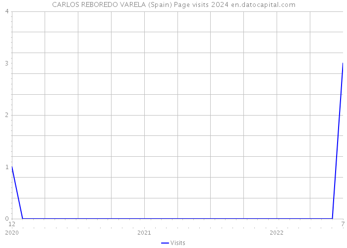 CARLOS REBOREDO VARELA (Spain) Page visits 2024 