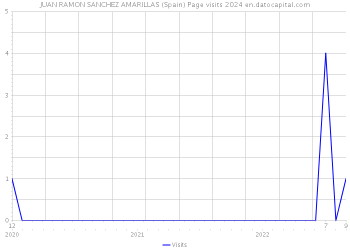 JUAN RAMON SANCHEZ AMARILLAS (Spain) Page visits 2024 