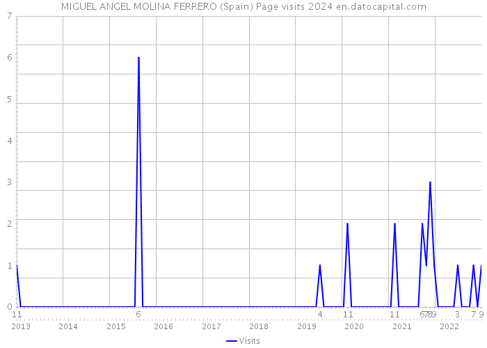 MIGUEL ANGEL MOLINA FERRERO (Spain) Page visits 2024 