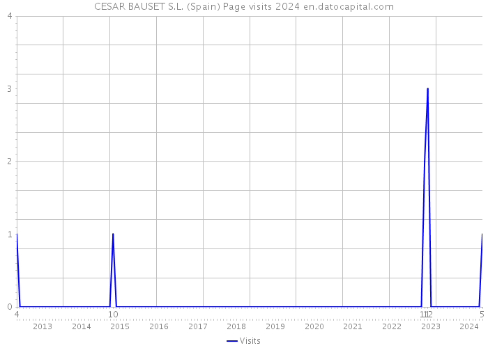 CESAR BAUSET S.L. (Spain) Page visits 2024 