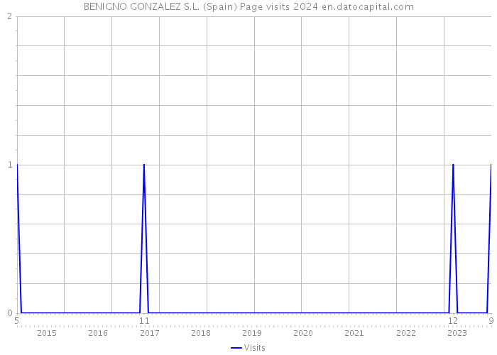 BENIGNO GONZALEZ S.L. (Spain) Page visits 2024 