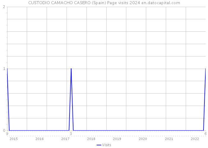 CUSTODIO CAMACHO CASERO (Spain) Page visits 2024 