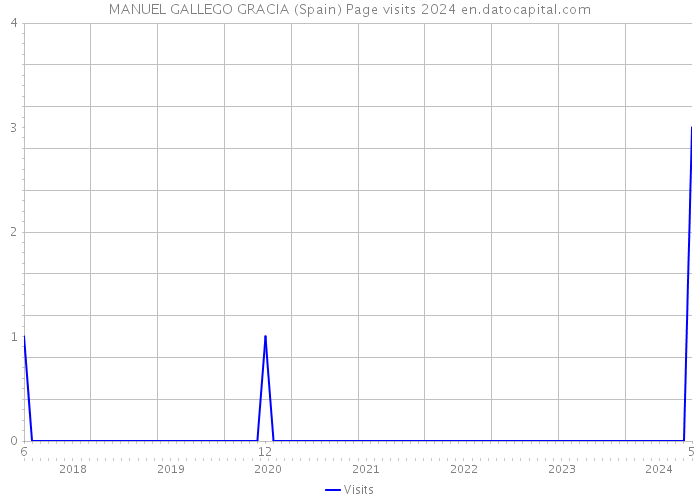 MANUEL GALLEGO GRACIA (Spain) Page visits 2024 