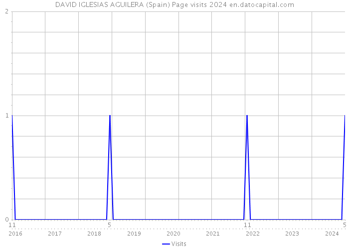 DAVID IGLESIAS AGUILERA (Spain) Page visits 2024 