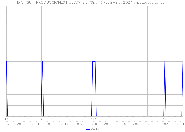 DIGITSUIT PRODUCCIONES HUELVA, S.L. (Spain) Page visits 2024 