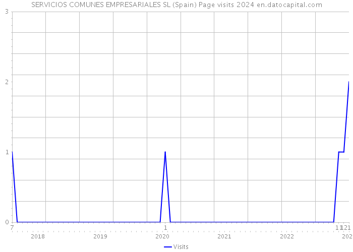 SERVICIOS COMUNES EMPRESARIALES SL (Spain) Page visits 2024 