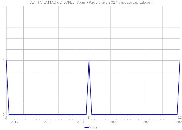 BENITO LAMADRID LOPEZ (Spain) Page visits 2024 