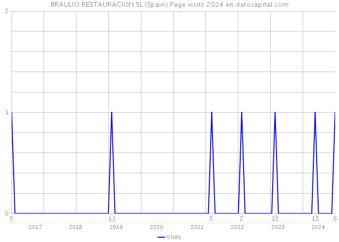 BRAULIO RESTAURACION SL (Spain) Page visits 2024 