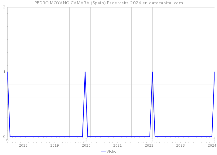 PEDRO MOYANO CAMARA (Spain) Page visits 2024 