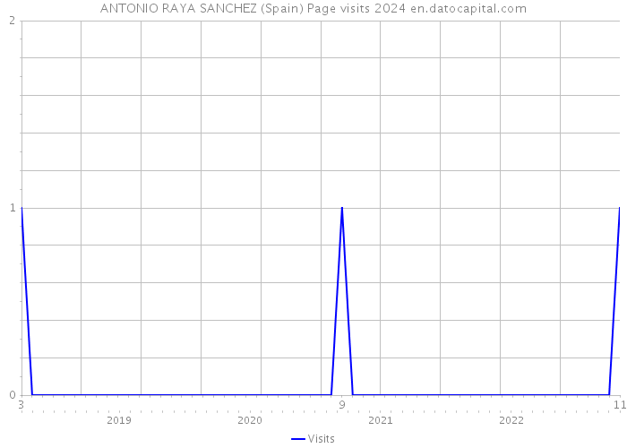 ANTONIO RAYA SANCHEZ (Spain) Page visits 2024 