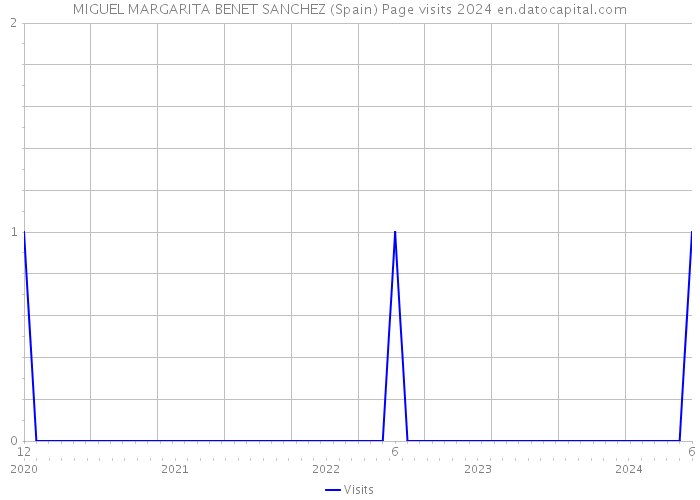 MIGUEL MARGARITA BENET SANCHEZ (Spain) Page visits 2024 