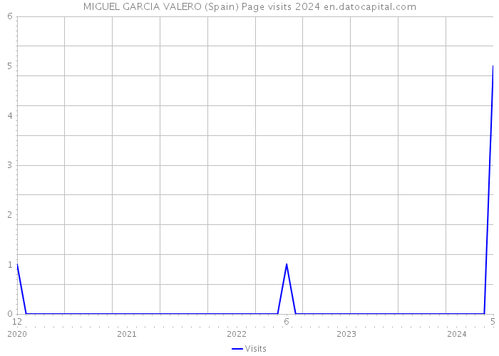 MIGUEL GARCIA VALERO (Spain) Page visits 2024 