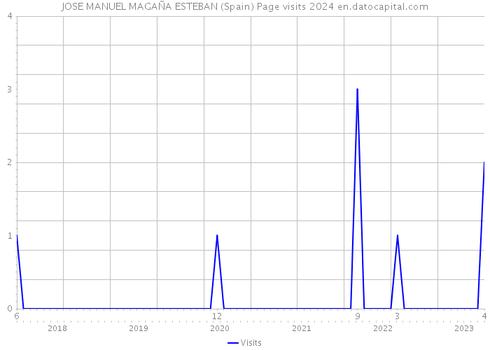 JOSE MANUEL MAGAÑA ESTEBAN (Spain) Page visits 2024 