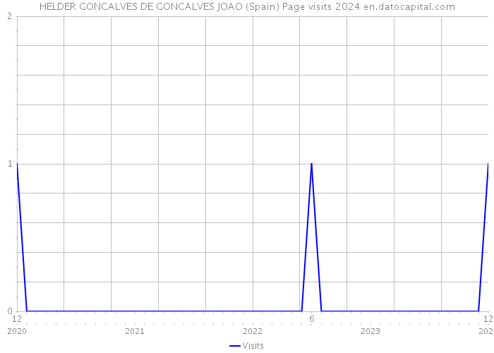 HELDER GONCALVES DE GONCALVES JOAO (Spain) Page visits 2024 