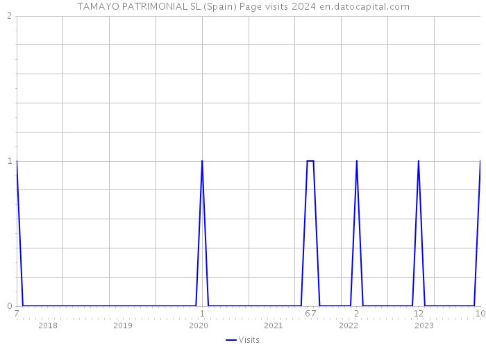 TAMAYO PATRIMONIAL SL (Spain) Page visits 2024 