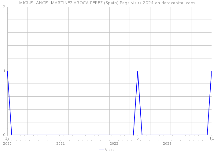 MIGUEL ANGEL MARTINEZ AROCA PEREZ (Spain) Page visits 2024 