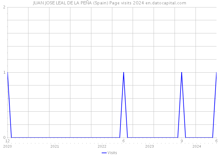 JUAN JOSE LEAL DE LA PEÑA (Spain) Page visits 2024 