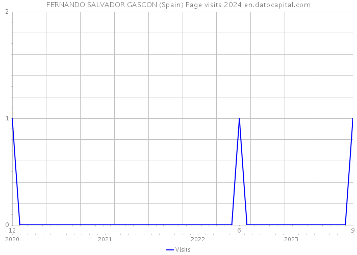 FERNANDO SALVADOR GASCON (Spain) Page visits 2024 