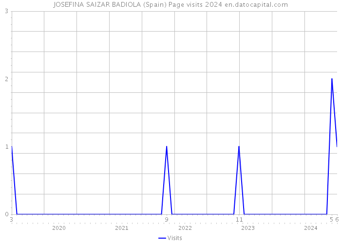 JOSEFINA SAIZAR BADIOLA (Spain) Page visits 2024 