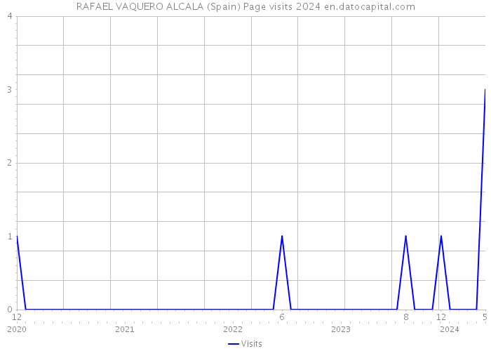 RAFAEL VAQUERO ALCALA (Spain) Page visits 2024 
