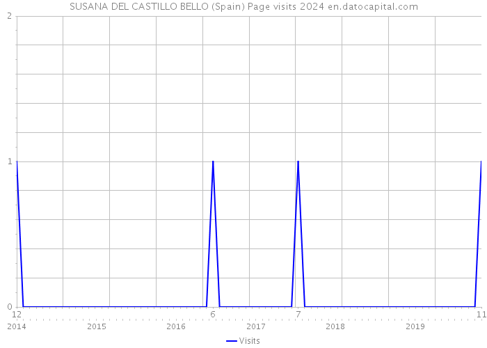 SUSANA DEL CASTILLO BELLO (Spain) Page visits 2024 