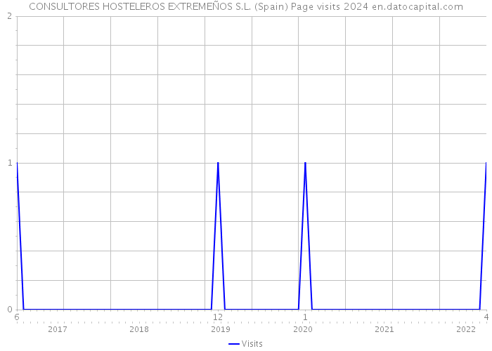 CONSULTORES HOSTELEROS EXTREMEÑOS S.L. (Spain) Page visits 2024 