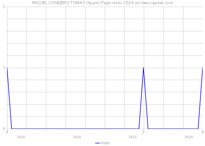 MIGUEL CONEJERO TOMAS (Spain) Page visits 2024 