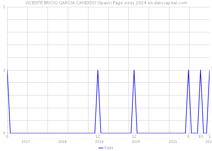 VICENTE BRICIO GARCIA CANDIDO (Spain) Page visits 2024 