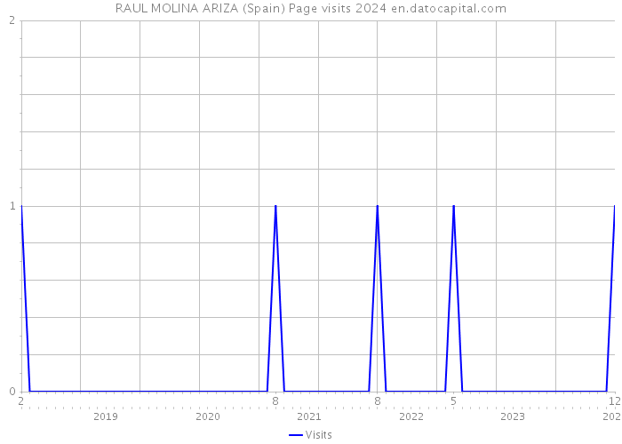 RAUL MOLINA ARIZA (Spain) Page visits 2024 