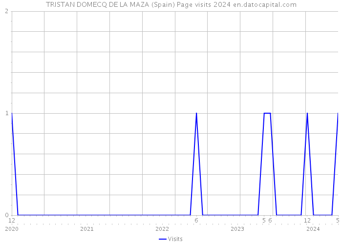 TRISTAN DOMECQ DE LA MAZA (Spain) Page visits 2024 