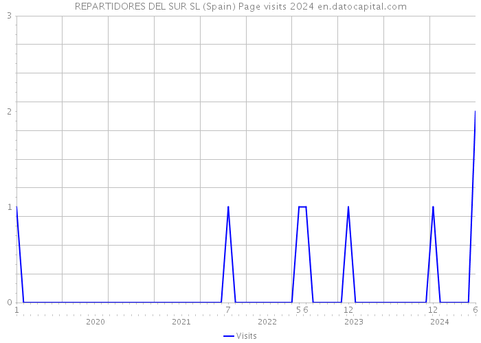 REPARTIDORES DEL SUR SL (Spain) Page visits 2024 