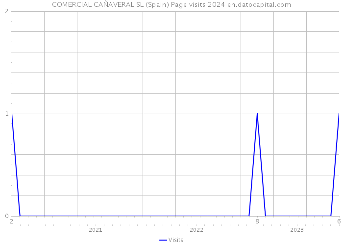 COMERCIAL CAÑAVERAL SL (Spain) Page visits 2024 