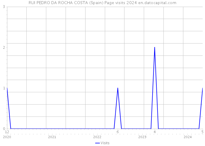 RUI PEDRO DA ROCHA COSTA (Spain) Page visits 2024 
