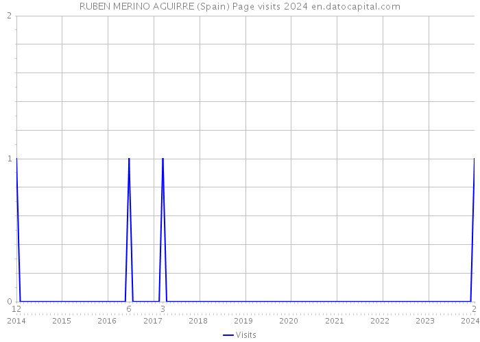 RUBEN MERINO AGUIRRE (Spain) Page visits 2024 