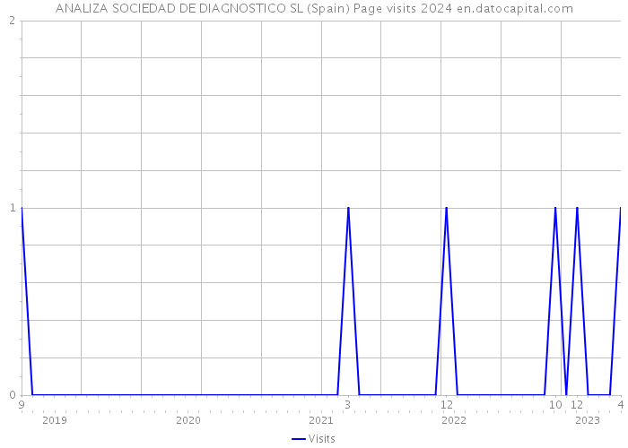 ANALIZA SOCIEDAD DE DIAGNOSTICO SL (Spain) Page visits 2024 