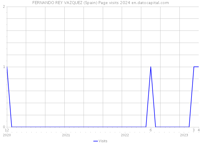 FERNANDO REY VAZQUEZ (Spain) Page visits 2024 