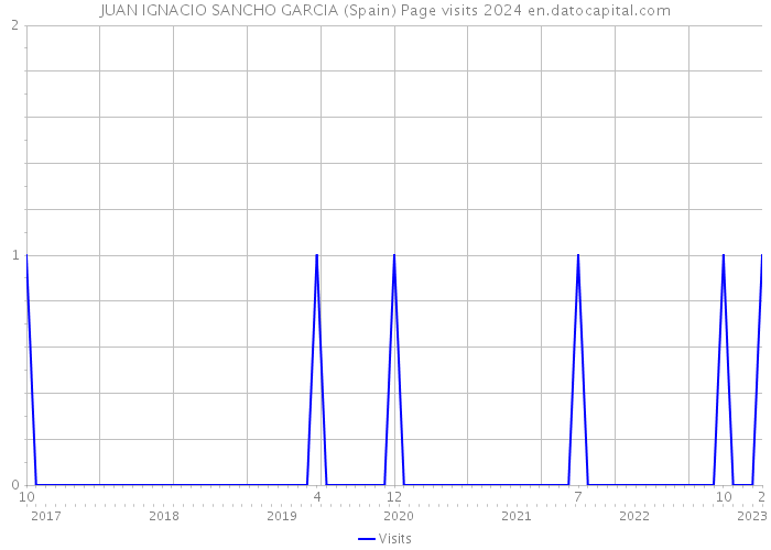 JUAN IGNACIO SANCHO GARCIA (Spain) Page visits 2024 