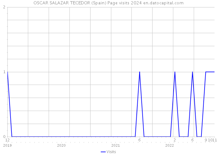 OSCAR SALAZAR TECEDOR (Spain) Page visits 2024 