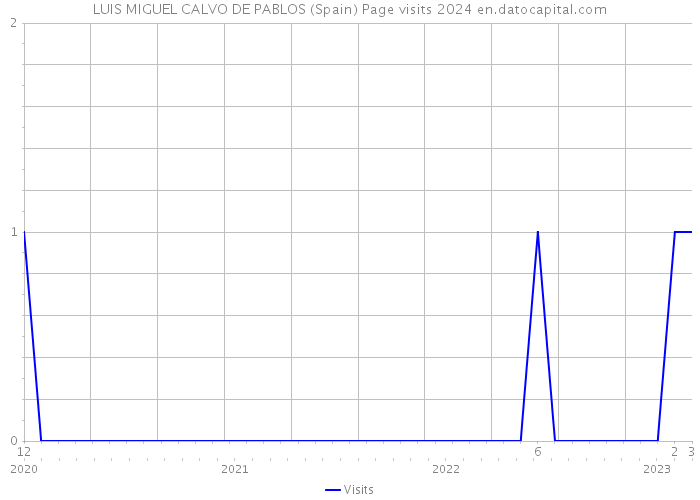 LUIS MIGUEL CALVO DE PABLOS (Spain) Page visits 2024 