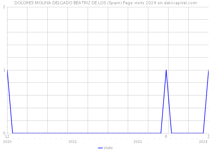 DOLORES MOLINA DELGADO BEATRIZ DE LOS (Spain) Page visits 2024 