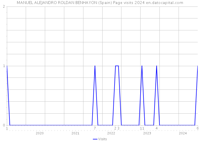 MANUEL ALEJANDRO ROLDAN BENHAYON (Spain) Page visits 2024 