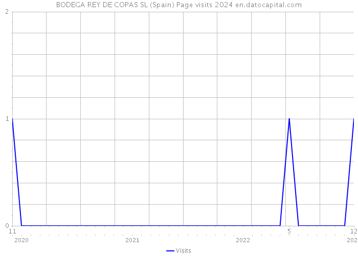 BODEGA REY DE COPAS SL (Spain) Page visits 2024 